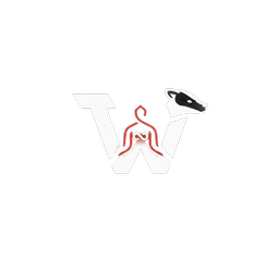Wisconsin Humanoid Robotics