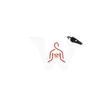 Wisconsin Humanoid Robotics